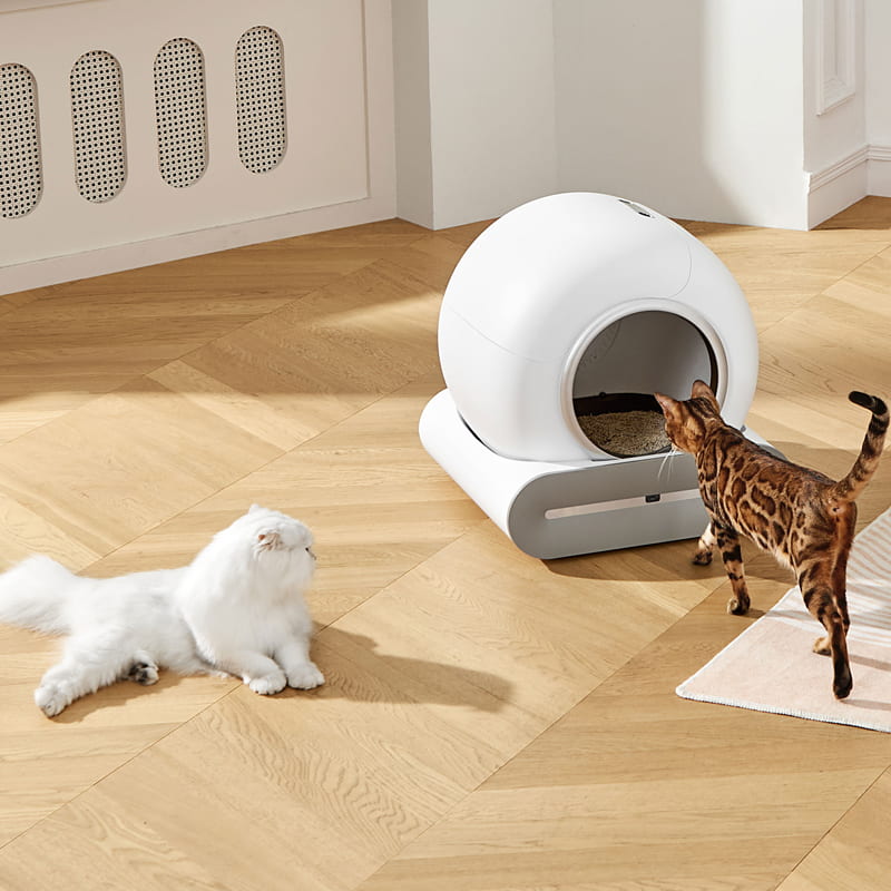 Factory Direct Sale Self-cleaning Cat Litter Box