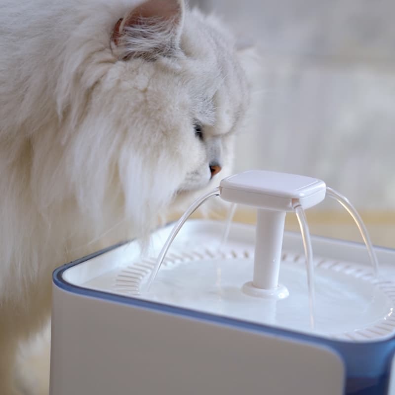 Factor Water Drinker for Cat Dog