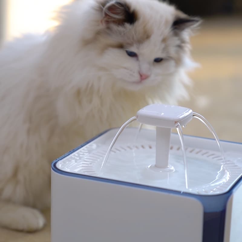 Factor Water Drinker for Cat Dog