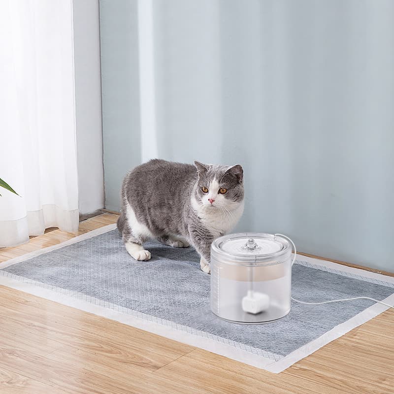 Cat food and water dispenser