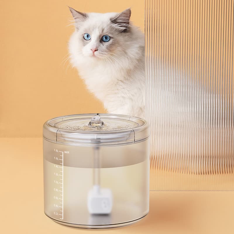 Cat food and water dispenser