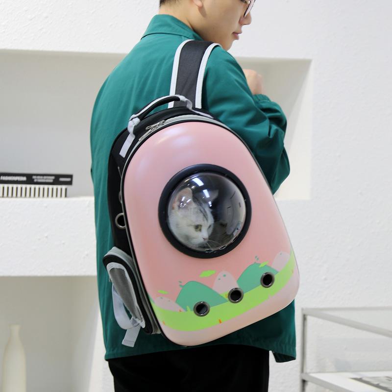 Cat carrier with transparent bubble