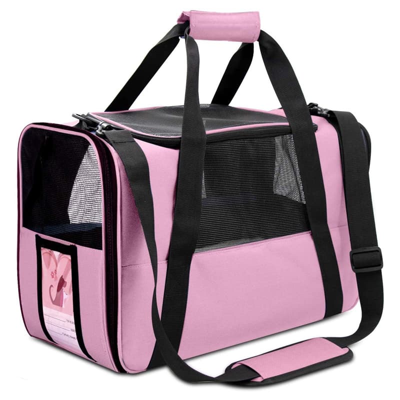 Foldable Outdoor Cat Travel Bag