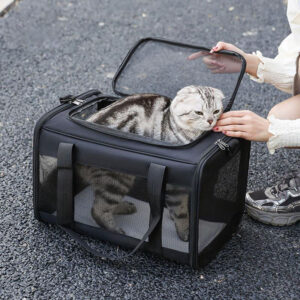 Factory Direct Portable Detachable Pet Bag