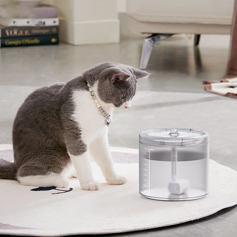 Cat food and water dispenser